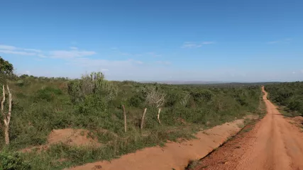 UGANDA